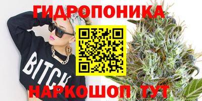 ешки Дубна
