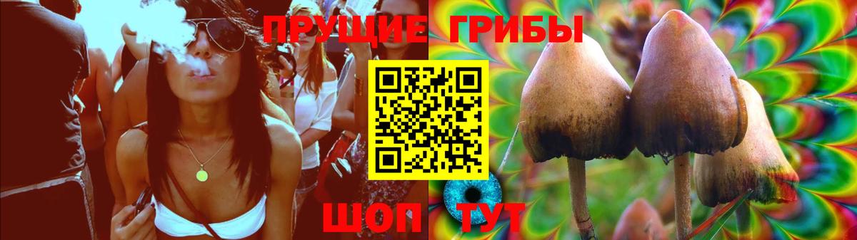 Псилоцибиновые грибы прущие грибы  Вход с VPN  Домодедово 